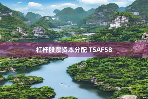 杠杆股票资本分配 TSAF58