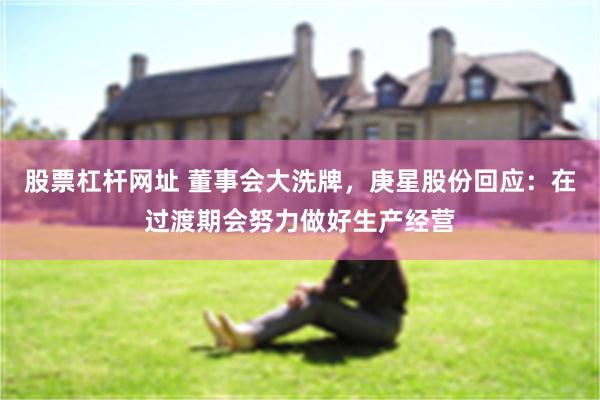 股票杠杆网址 董事会大洗牌，庚星股份回应：在过渡期会努力做好生产经营