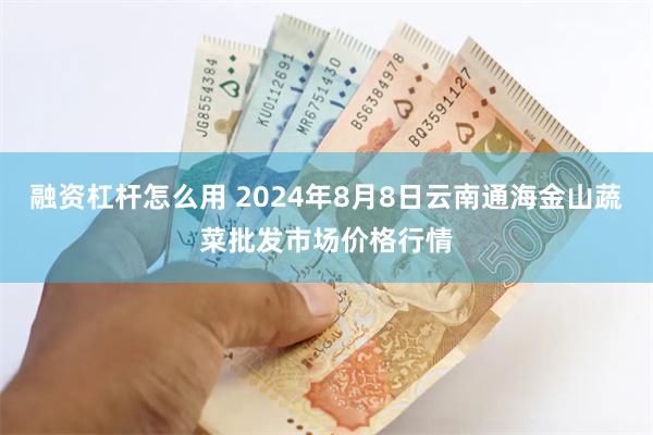 融资杠杆怎么用 2024年8月8日云南通海金山蔬菜批发市场价格行情