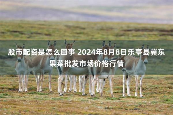 股市配资是怎么回事 2024年8月8日乐亭县冀东果菜批发市场价格行情