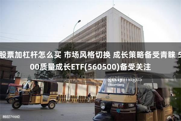 股票加杠杆怎么买 市场风格切换 成长策略备受青睐 500质量成长ETF(560500)备受关注