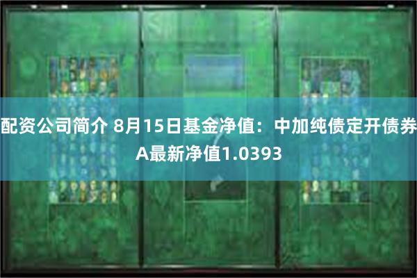 配资公司简介 8月15日基金净值：中加纯债定开债券A最新净值1.0393