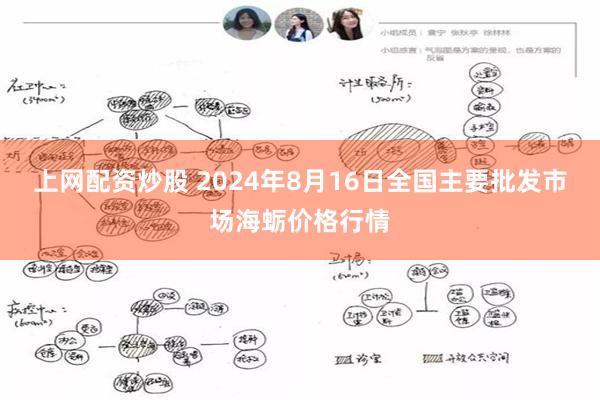 上网配资炒股 2024年8月16日全国主要批发市场海蛎价格行情