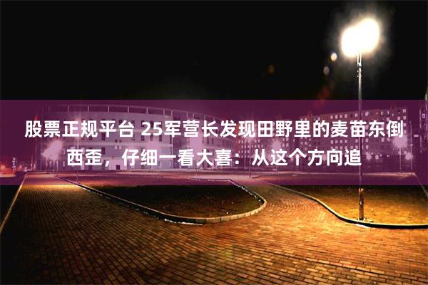 股票正规平台 25军营长发现田野里的麦苗东倒西歪，仔细一看大喜：从这个方向追