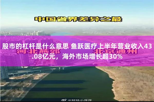 股市的杠杆是什么意思 鱼跃医疗上半年营业收入43.08亿元，海外市场增长超30%