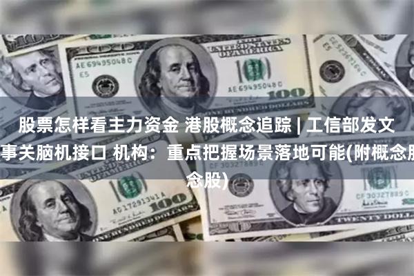 股票怎样看主力资金 港股概念追踪 | 工信部发文！事关脑机接口 机构：重点把握场景落地可能(附概念股)