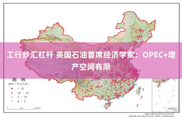 工行炒汇杠杆 英国石油首席经济学家：OPEC+增产空间有限