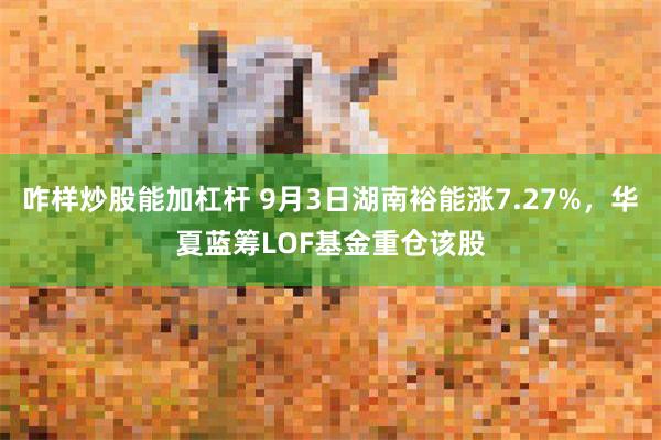 咋样炒股能加杠杆 9月3日湖南裕能涨7.27%，华夏蓝筹LOF基金重仓该股