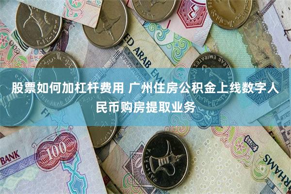 股票如何加杠杆费用 广州住房公积金上线数字人民币购房提取业务