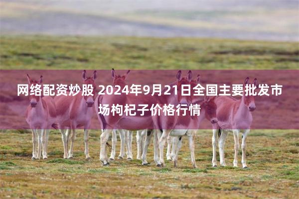 网络配资炒股 2024年9月21日全国主要批发市场枸杞子价格行情