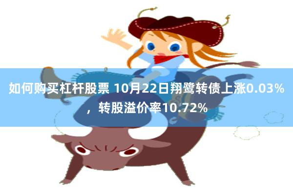 如何购买杠杆股票 10月22日翔鹭转债上涨0.03%，转股溢价率10.72%