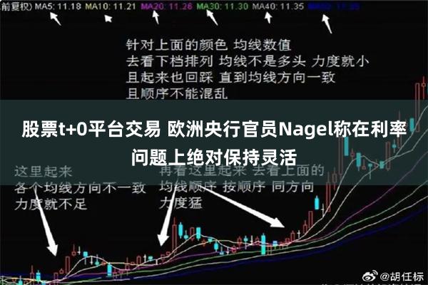 股票t+0平台交易 欧洲央行官员Nagel称在利率问题上绝对保持灵活