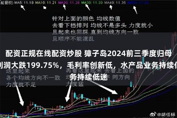 配资正规在线配资炒股 獐子岛2024前三季度归母净利润大跌199.75%，毛利率创新低，水产品业务持续低迷