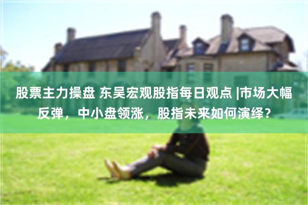 股票主力操盘 东吴宏观股指每日观点 |市场大幅反弹，中小盘领涨，股指未来如何演绎？