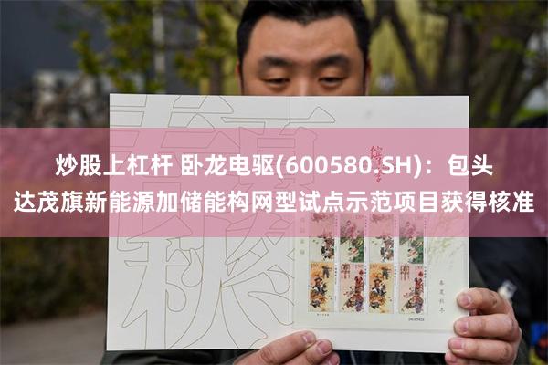 炒股上杠杆 卧龙电驱(600580.SH)：包头达茂旗新能源加储能构网型试点示范项目获得核准