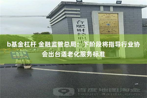 b基金杠杆 金融监管总局：下阶段将指导行业协会出台适老化服务标准