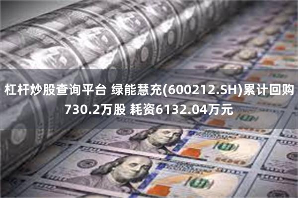 杠杆炒股查询平台 绿能慧充(600212.SH)累计回购730.2万股 耗资6132.04万元