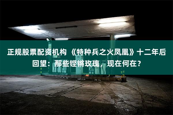 正规股票配资机构 《特种兵之火凤凰》十二年后回望：那些铿锵玫瑰，现在何在？