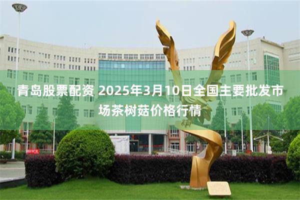 青岛股票配资 2025年3月10日全国主要批发市场茶树菇价格行情