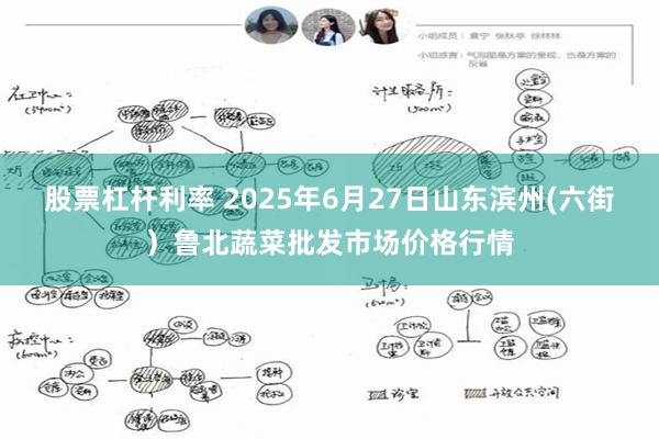 股票杠杆利率 2025年6月27日山东滨州(六街）鲁北蔬菜批发市场价格行情