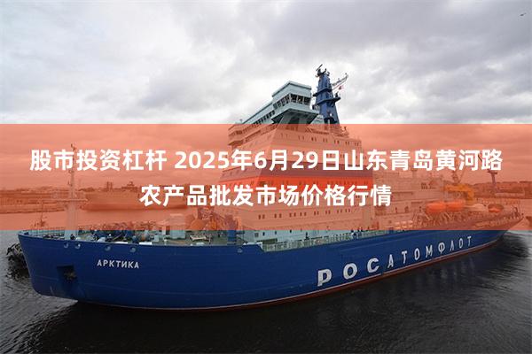 股市投资杠杆 2025年6月29日山东青岛黄河路农产品批发市场价格行情