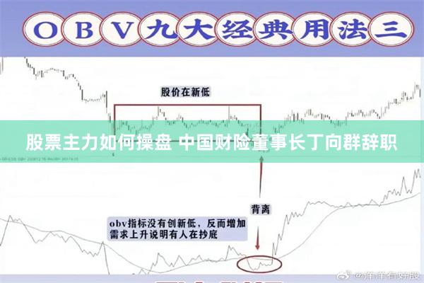 股票主力如何操盘 中国财险董事长丁向群辞职