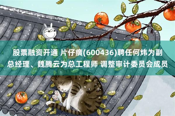 股票融资开通 片仔癀(600436)聘任何炜为副总经理、魏腾云为总工程师 调整审计委员会成员