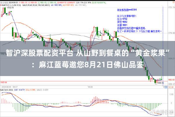 智沪深股票配资平台 从山野到餐桌的“黄金浆果”：麻江蓝莓邀您8月21日佛山品鉴