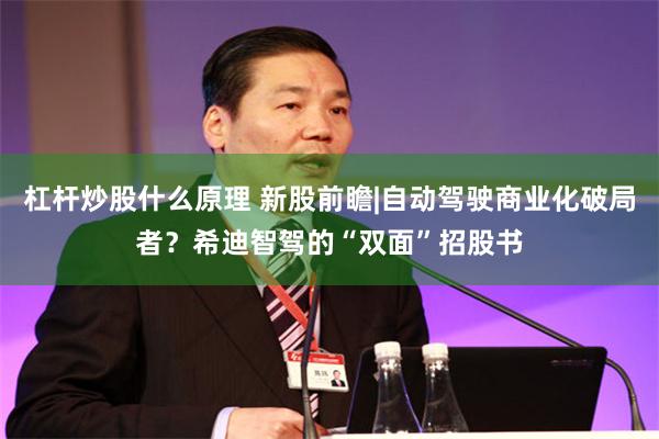 杠杆炒股什么原理 新股前瞻|自动驾驶商业化破局者？希迪智驾的“双面”招股书