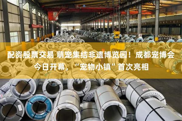 配资股票交易 萌宠集结非遗博览园！成都宠博会今日开幕，“宠物小镇”首次亮相