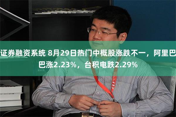 证券融资系统 8月29日热门中概股涨跌不一，阿里巴巴涨2.23%，台积电跌2.29%