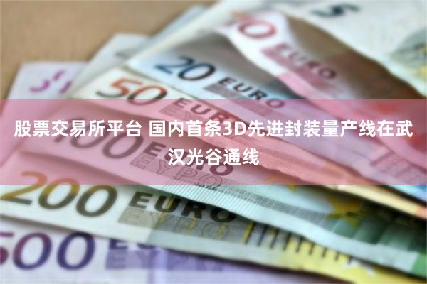 股票交易所平台 国内首条3D先进封装量产线在武汉光谷通线