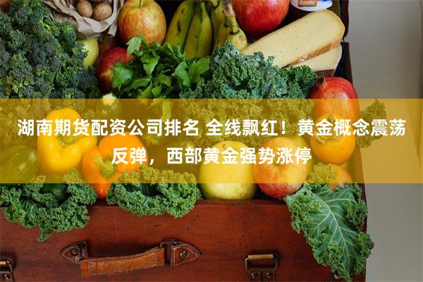 湖南期货配资公司排名 全线飘红！黄金概念震荡反弹，西部黄金强势涨停